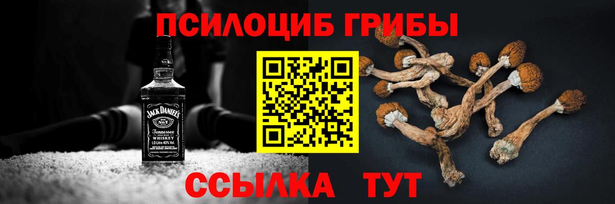 Псилоцибиновые грибы Psilocybine cubensis Рубцовск